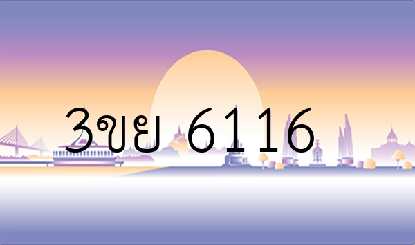 3ขย 6116